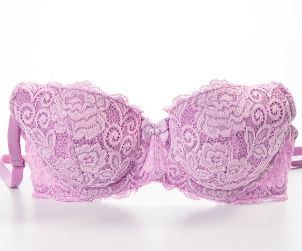 Key Elements of a Bra and Their Function