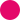 https://mspomelo.com/wp-content/uploads/2019/05/Roman-Holiday-Azalea.png